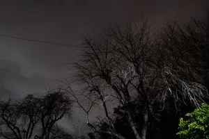 自然，户外，天气，夜晚，树木，植物，空间，外层空间