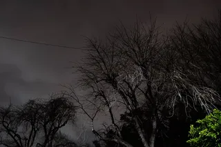 自然，户外，天气，夜晚，树木，植物，空间，外层空间