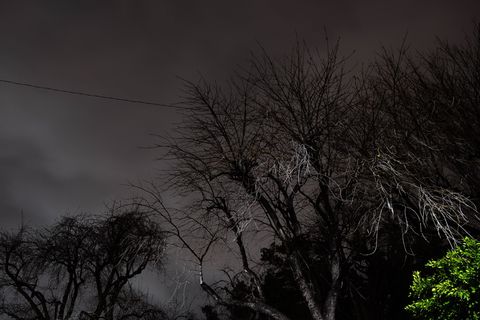 自然,户外,天气,夜晚,树木,植物,空间,外层空间 自然,户外,天气,夜晚,树木,植物,空间,外层空间