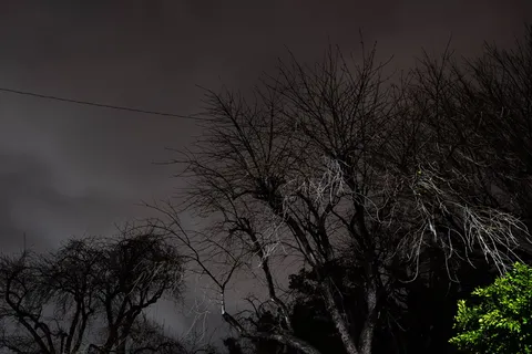 自然,户外,天气,夜晚,树木,植物,空间,外层空间 自然,户外,天气,夜晚,树木,植物,空间,外层空间