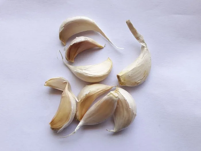 白色背景下分离的大蒜丁香