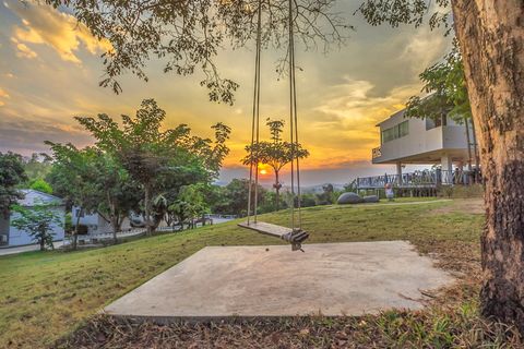 阳光明媚时树上的灰色秋千照片