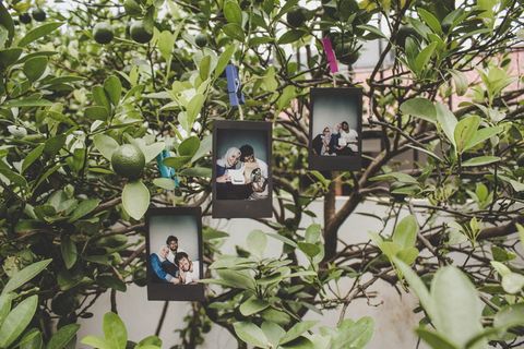 树上挂着三个黑色木制相框