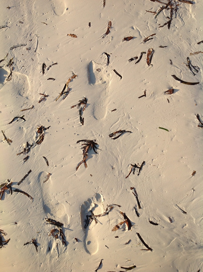 沙子，指纹，假日，全帧，背景，无人，自然，痕迹-印记