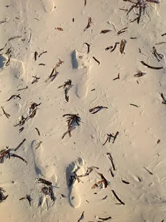 沙子，指纹，假日，全帧，背景，无人，自然，痕迹-印记