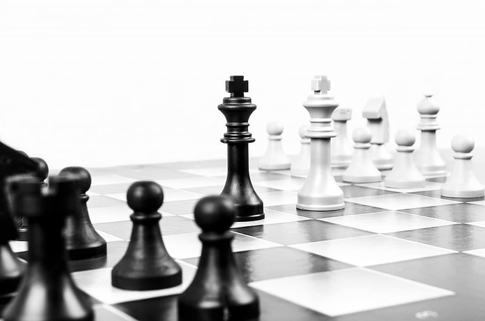 浅色、对焦摄影、白色、黑色、棋子王、灰度、摄影、棋子