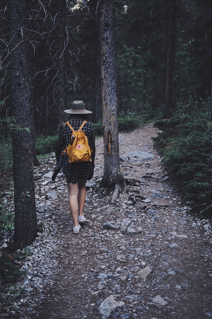 黑暗，人，孤独，女孩，散步，徒步旅行，森林，植物