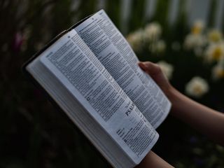 打开书，人，人，阅读，文本，页面，纸张，日记