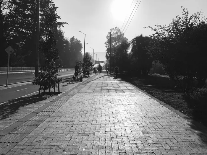 哥伦比亚、波哥大、马祖伦、人行道、城市景观、树木、植物、前进之路