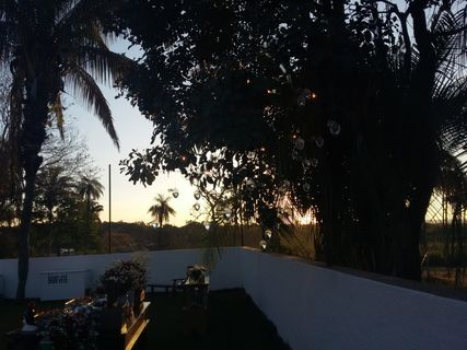 巴西，福尔摩沙，树，植物，水，自然，天空，生长