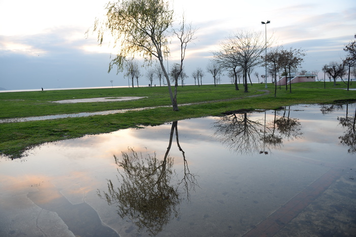 反射，伊斯坦布尔，海滩，卡德博斯坦，水，天空，树，植物