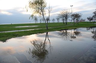 反射，伊斯坦布尔，海滩，卡德博斯坦，水，天空，树，植物