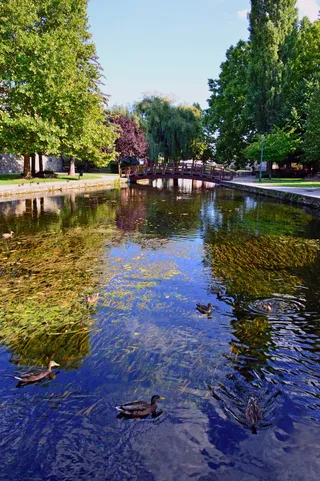 湖，塔波尔卡湖，水，干净，磨坊池，喷泉，景观，静物