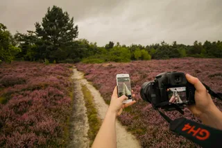 英国、churt、pond lane、camera、dslr、panasonic、gh4、apple