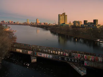 波士顿，美国，旧的，不存在的，涂鸦，天鹅，鸭子，鹅