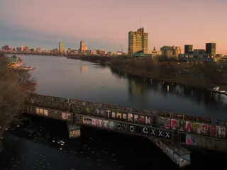 波士顿，美国，旧的，不存在的，涂鸦，天鹅，鸭子，鹅