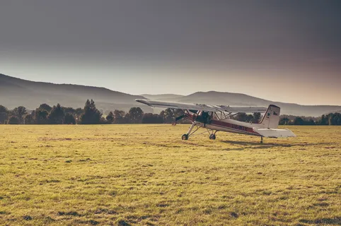 白色，双平面，草地，自然，风景，绿色，草，树