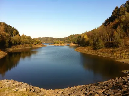 湖,森林,秋天,树木,风景,水,池塘,山 湖,森林,秋天,树木,风景,水,池塘,山