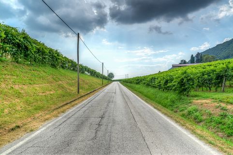 road，vineyard，prosecco，italy，风景，自然，天空，葡萄酒种植