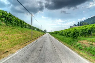 road，vineyard，prosecco，italy，风景，自然，天空，葡萄酒种植