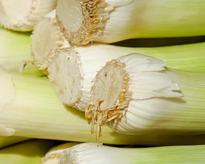 韭菜，蔬菜，宽带韭菜，冬韭菜，田间大蒜，素食，健康，食品