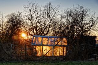 玻璃屋、火、品牌、太阳、夕阳、红色、树木、植物