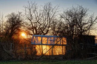 玻璃屋、火、品牌、太阳、夕阳、红色、树木、植物