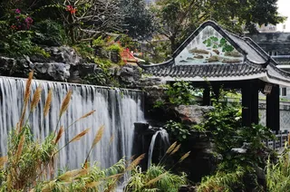 假山、流水、东河涌、小北、越秀、亭子、植物、水
