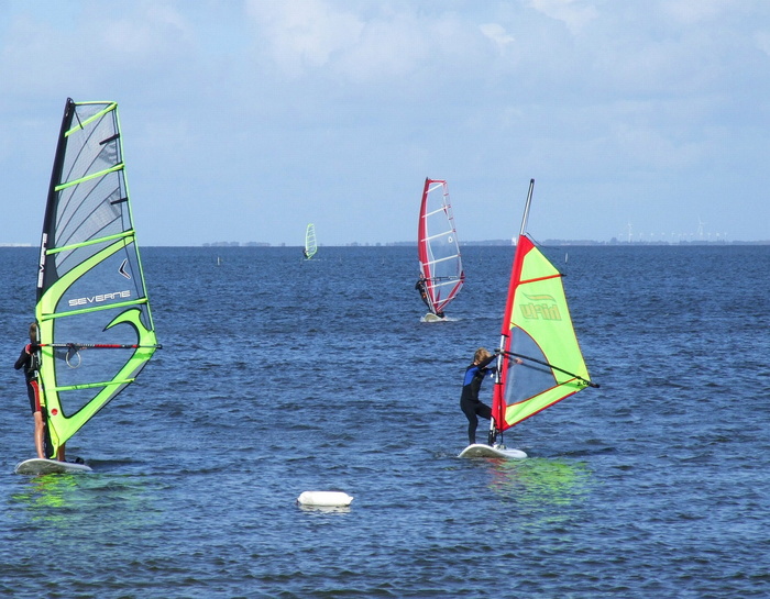 冲浪、水上运动、海洋运动、峡湾运动、林口滨运动、丹麦运动、夏季运动