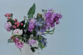 花，花瓶，老的，开花的植物，花，植物，新鲜，脆弱