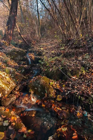意大利，ello，智能手机墙纸，智能手机，智能手机屏幕，墙纸，高清墙纸，墙纸
