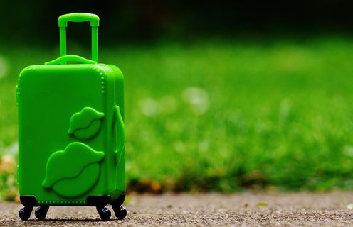 绿色、唇形、浮雕、行李箱、泥土、手推车、旅行、告别