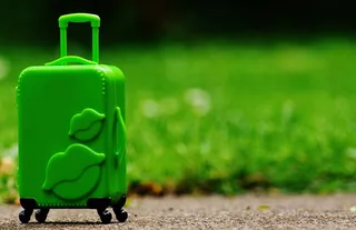 绿色、唇形、浮雕、行李箱、泥土、手推车、旅行、告别