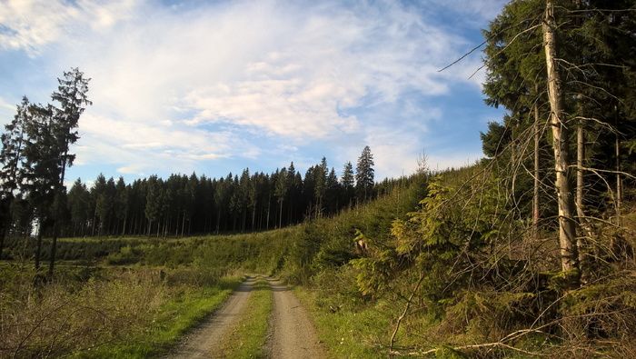 lane、trail、sauerland、remblinghausen、meschede、nature、away、景观