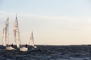 几艘，白色，帆船，海洋，三艘，晴朗，天空，大海