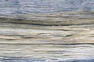 dřevo，Abstraktni，pozadí，kůra，stromovékůry，strom，stromy，les