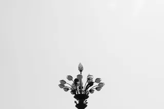 灯，灯罩，灯柱，枝形吊灯，照明，灯笼，剪影，鸟