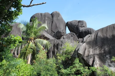 大坝,塞舌尔,海湾,金钱,大坝,岩石,自然,白天 大坝,塞舌尔,海湾,金钱,大坝,岩石,自然,白天