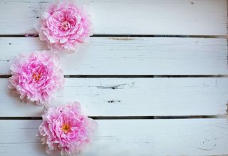 三，粉色，花瓣花，牡丹，花，背景，背景，春天