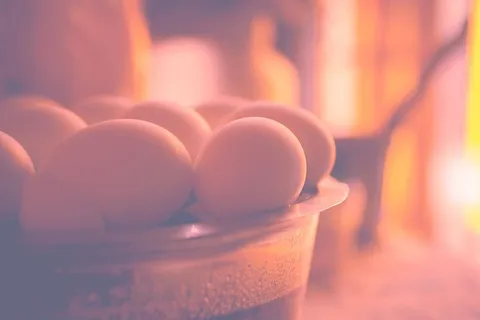 印度,新德里,老拉金德·纳加尔,颜色,新鲜,阳光,光线,抽象 印度,新德里,老拉金德·纳加尔,颜色,新鲜,阳光,光线,抽象