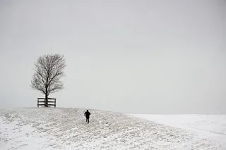 一个奔跑的身影和一棵树在一座有雾背景的雪山上