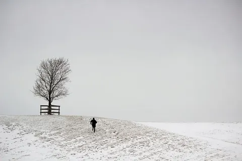 一个奔跑的身影和一棵树在一座有雾背景的雪山上 一个奔跑的身影和一棵树在一座有雾背景的雪山上
