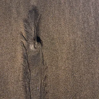 沙子，自然，户外，黑沙滩，冰岛，地毯，脚印，土壤