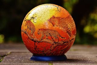 益智球，豹子，野生动物，益智，玩，狡猾，耐心游戏，玩具