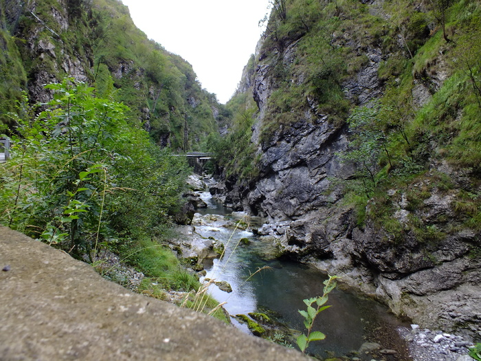峡谷，河流，景观，塔勒吉奥峡谷，植物，水，自然之美，岩石