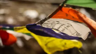 符号、旗帜、瓶子、指南针、球拍、网球拍、饮料、酒精