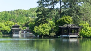 自然，水，木，树，夏天，亭子，小亭子，湖泊