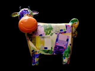 cow pinata，cow，save，money，piggy bank，趣味，陶瓷，钞票