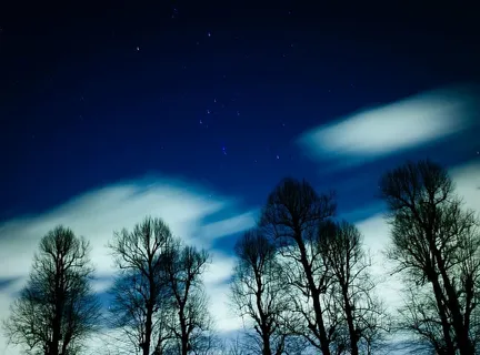 延时照片,树木,照片,恒星,星系,太空,天文学,夜晚 延时照片,树木,照片,恒星,星系,太空,天文学,夜晚