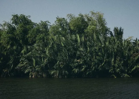 自然，陆地，户外，海岸线，水，海洋，海洋，海岸